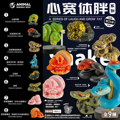 【定金预售】动物星云 心宽体胖系列26弹一蛇4.0 手办 模型