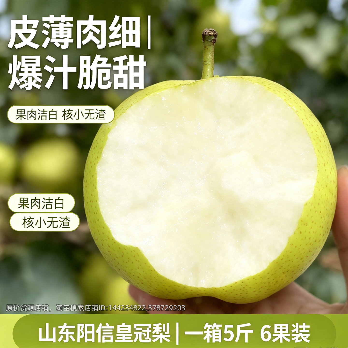 山东阳信梨现摘现发新青皮皇冠梨皮薄脆甜新鲜爆汁包邮应季土特产
