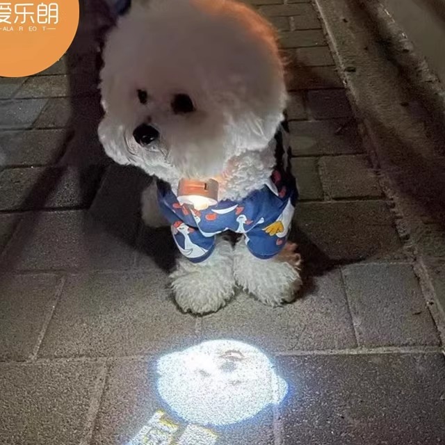 宠物社交灯 狗狗社牛灯 现货 宠物挂牌LED 夜溜神器定制狗狗投影