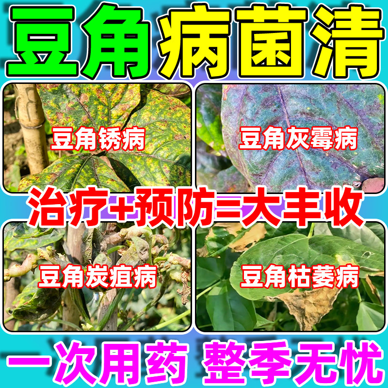 豆角病菌清专用药锈病炭疽灵豇豆四季豆芸豆根腐叶霉微生物杀菌剂