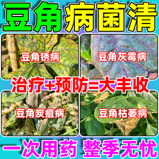 豆角病菌清专用药锈病炭疽灵豇豆四季豆芸豆根腐叶霉微生物杀菌剂