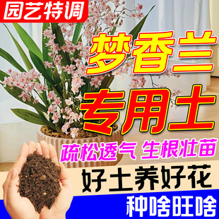 梦香兰专用土文心兰花种植四季开花营养疏松肥沃有机家养盆栽肥料