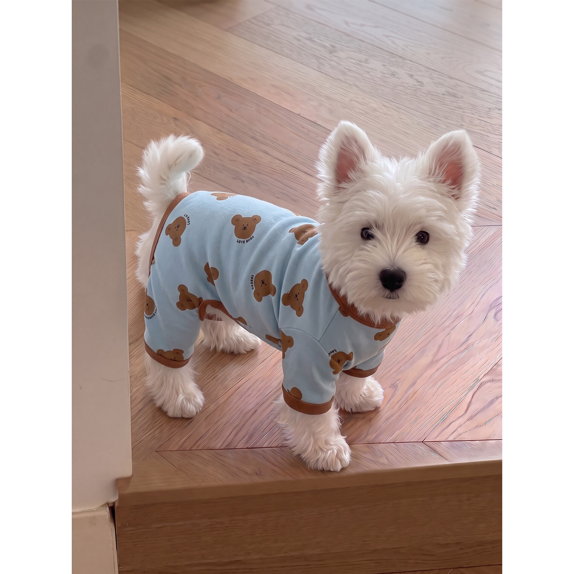 小狗衣服宠物狗狗四脚衣小型犬比熊泰迪雪纳瑞家居服睡衣秋冬保暖