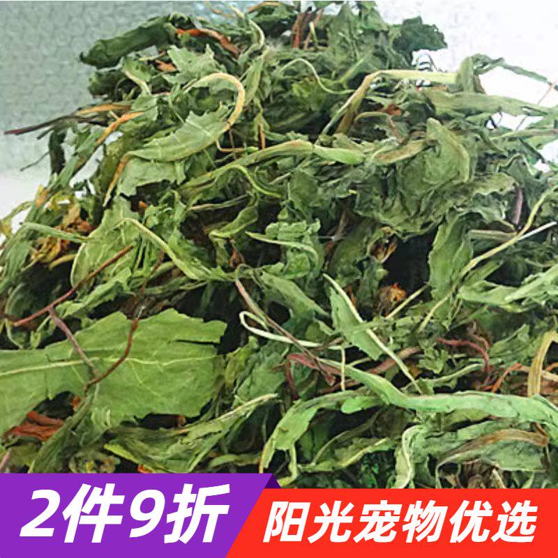 2025烘干蒲公英 兔子龙猫荷兰猪豚鼠宠物粮牧草蒲公英干草500g/箱