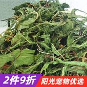 2024烘干蒲公英 箱 兔子龙猫荷兰猪豚鼠宠物粮牧草蒲公英干草500g