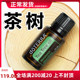 doterra多特瑞精油官网茶树精油植物萃取舒缓面部祛痘印控油按摩