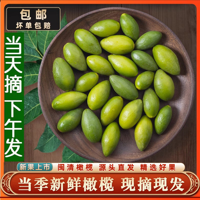 新鲜采摘青橄榄果新鲜檀香橄榄500g福建福州闽清特产水果