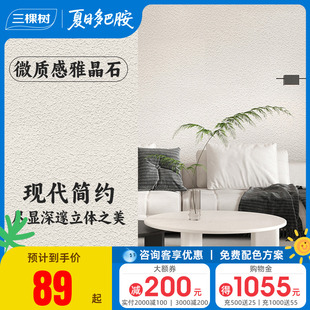 三棵树艺术漆长安石电视背景装修室内墙面立体墙面肌理漆施工材料