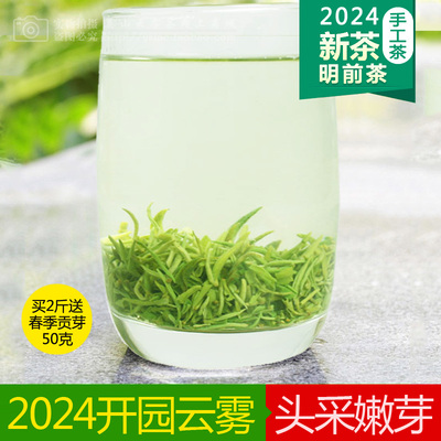 2024高山手工茶云雾茶英山春蕊