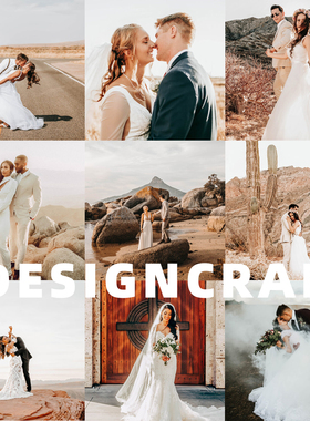 Lightroom预设boho波西米亚婚礼LUTs达芬奇PR/FCPX手机版LR滤镜PS