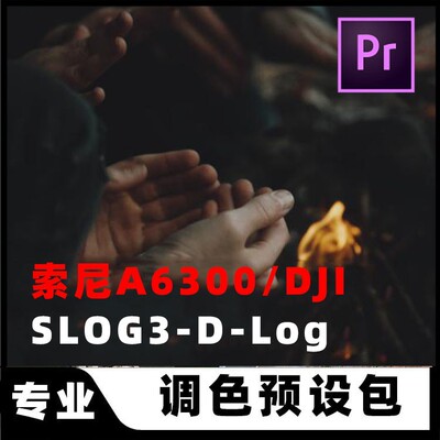 专业电影色调大疆精灵SONY索尼a6300调色SLOG3滤镜LUTS预设PP8/9