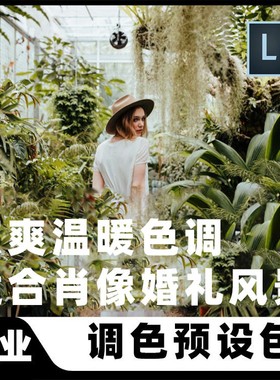 LR预设-高端专业婚礼摄影旅拍人像调色温暖对比色调欧美滤镜预设