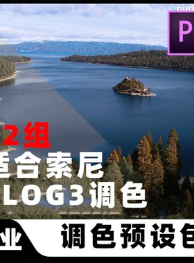 索尼系列专用S-LOG3颜色配置调色LUTS电影色调滤镜灰片调色预设