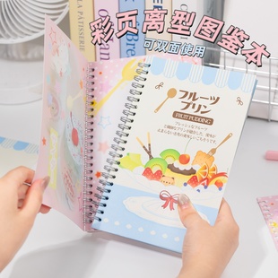 图鉴本A5可爱双面彩页胶带离型本贴纸卷收纳册手帐素材贴画展示册