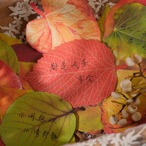 60张树叶便签素材纸 可书写清新叶子留言便条diy手帐装饰素材书签
