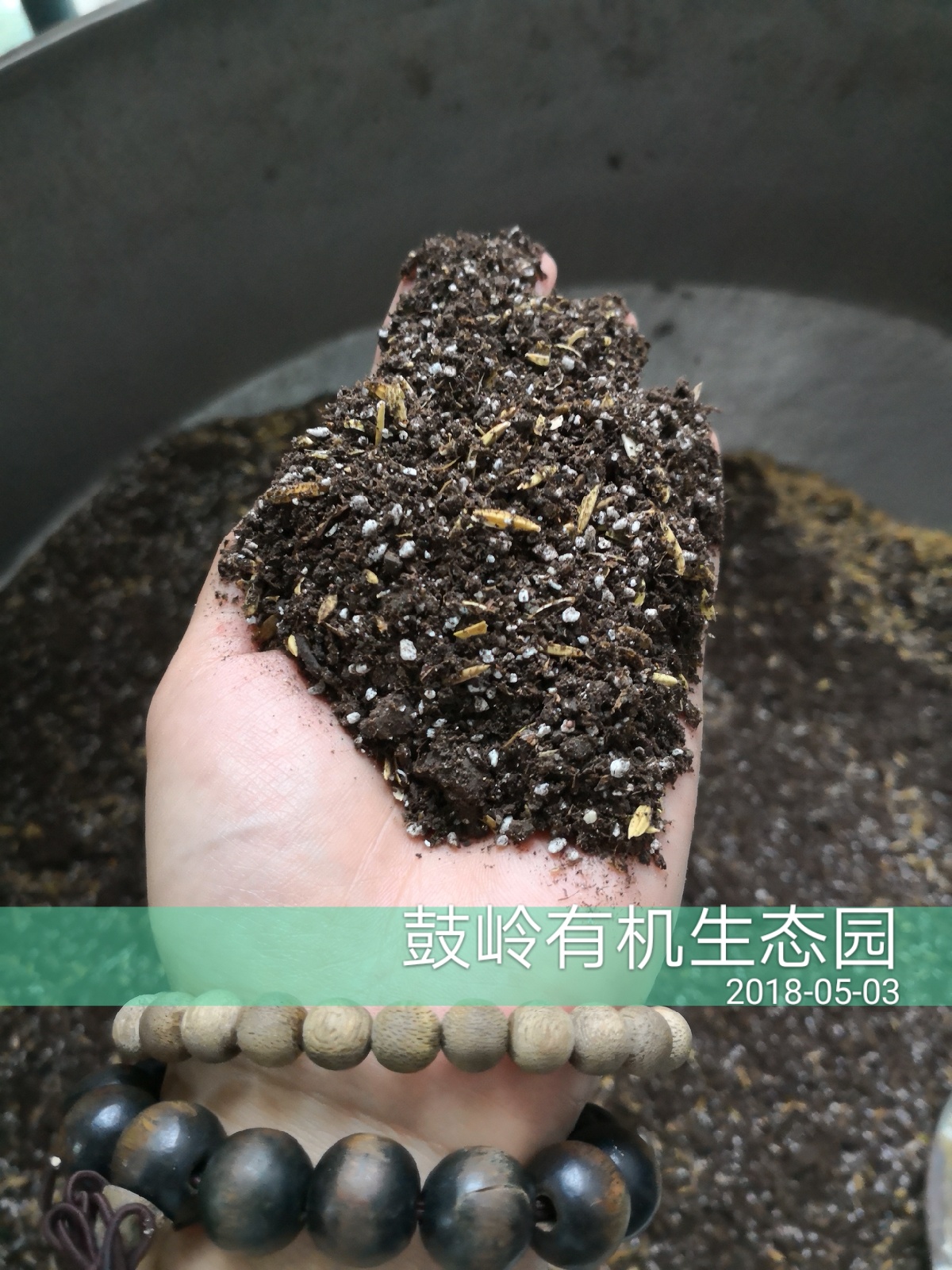 鼓岭蓝莓专用土