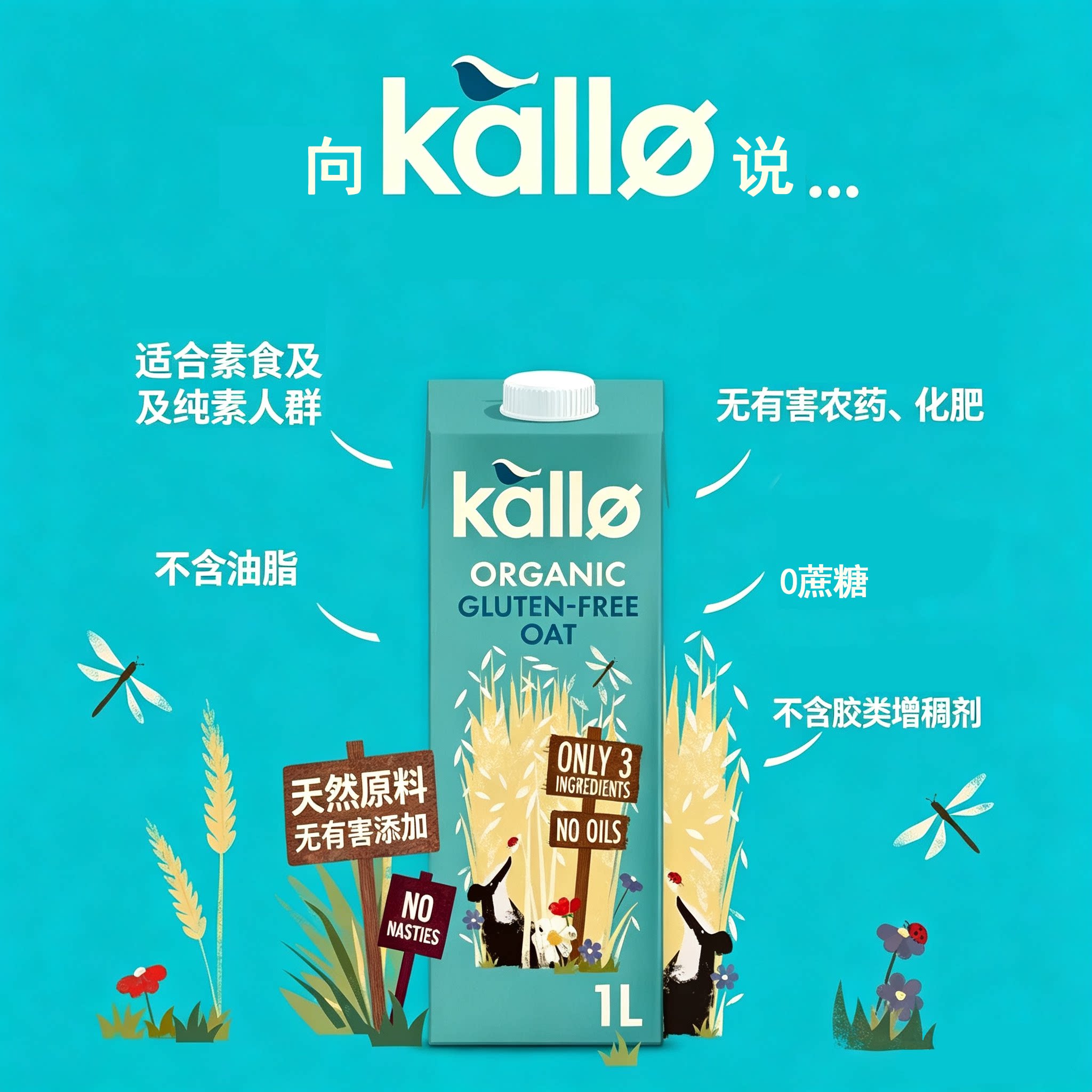 英国进口Kallo纯素食无奶无麸0乳糖0蔗糖有机燕麦奶1L