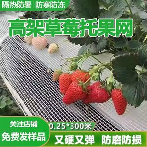 高架草莓托果网草莓托果夹托果网立体无土栽培槽用隔离草莓果托网