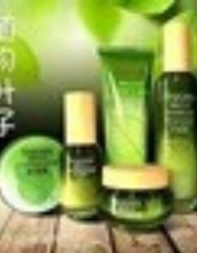 欧姿丹植物叶子护肤品套盒补水保湿滋润水乳霜叶绿素化妆品套装女