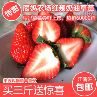 新鲜草莓红颜草莓现摘现发草莓越秀草莓奶油草莓建德草莓3斤顺丰