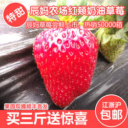 牛奶草莓新鲜草莓日本红颊草莓建德草莓红颜草莓奶油草莓3斤顺丰