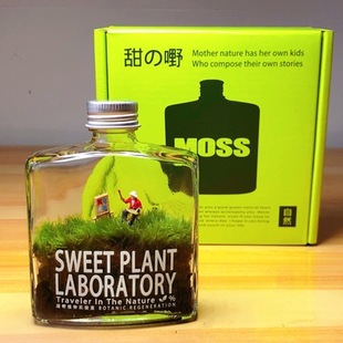 苔藓威士忌微景观摆件苔藓瓶子室内桌面创意绿植物生态瓶生日礼物