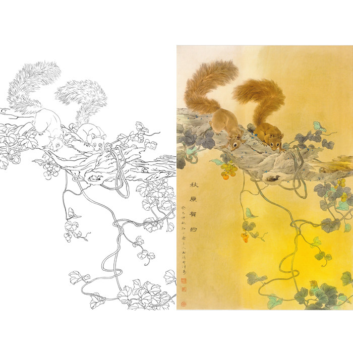 邹传安工笔画临摹素材白描线描底稿国画小动物松鼠勾线练习打印稿