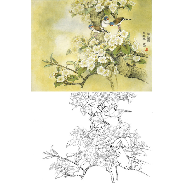 横幅高清工笔画白描底稿国画花鸟画梨花线描稿临摹勾线练习打印稿