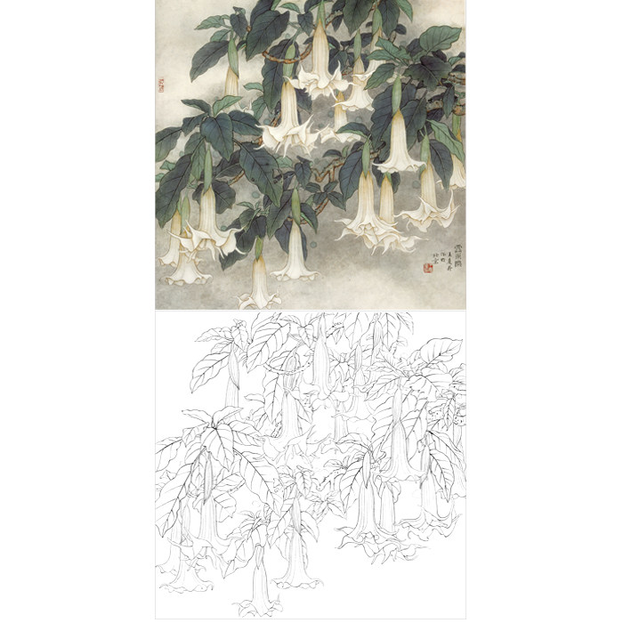 高清工笔画花鸟画白描底稿国画斗方小品花草植物临摹勾线练习打印