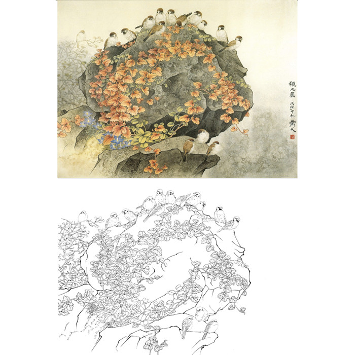 工笔画麻雀小鸟花鸟画白描底稿国画群鸟花草临摹勾线练习打印画稿