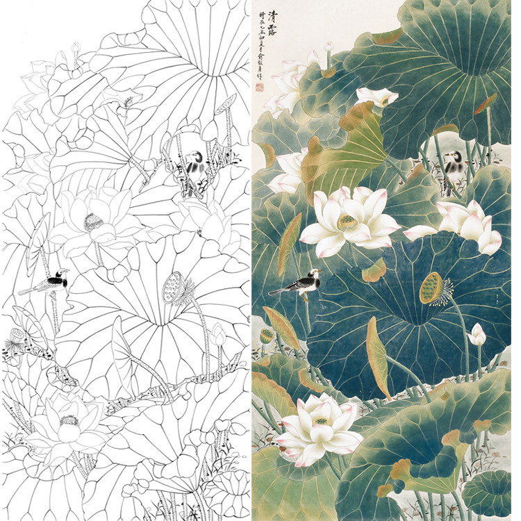 工笔画荷花花鸟画白描底稿国画荷花莲花线描临摹勾线练习打印稿子