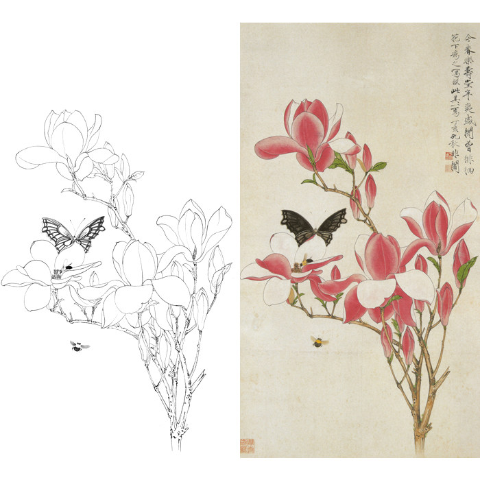 于非闇工笔画花鸟画白描底稿红玉兰花国画临摹勾线练习线描打印稿
