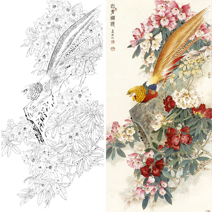 工笔画锦鸡图案花鸟画夹竹桃白描底稿国画临摹勾线练习线描打印稿
