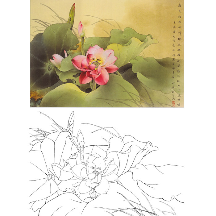 荷花小品工笔画邹传安作品高清白描底稿国画临摹勾线练习打印稿子