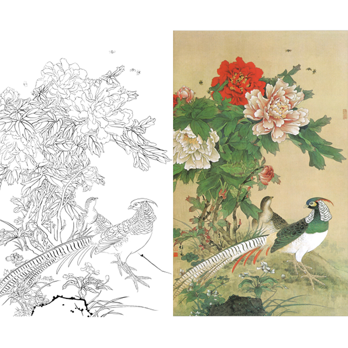 白描底稿工笔锦鸡牡丹花