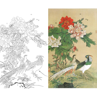 工笔牡丹锦鸡图白描底稿国画花鸟牡丹花卉线描临摹勾线练习打印稿