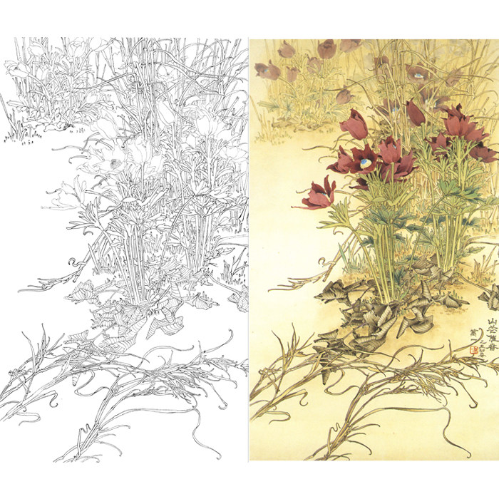 工笔画白描底稿花鸟花卉线描稿国画画谱初学者临摹勾线练习打印稿