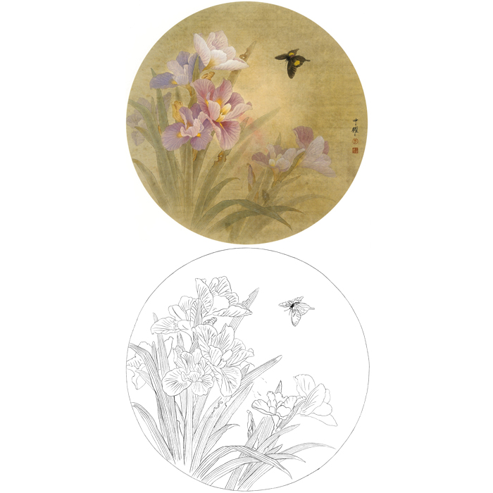 白描底稿工笔兰花蝴蝶画