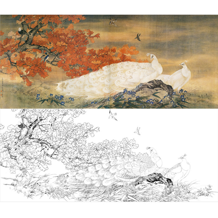 横幅工笔画白描底稿白孔雀图国画宣纸底稿临摹勾线练习打印画稿子