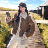 大货已出!美拉德 小个子羽绒服短外套 B260-5303-P245K338,女装羽绒服,芭图娜,浙宝-网红风 大货已出!美拉德 小个子羽绒服短外套 B260-5303-P245K338,女装羽绒服,芭图娜,浙宝-网红风