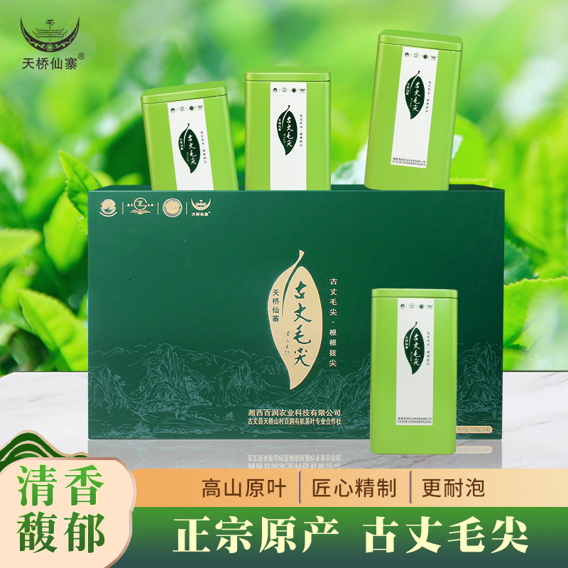 明年头采生态茶园古丈毛尖
