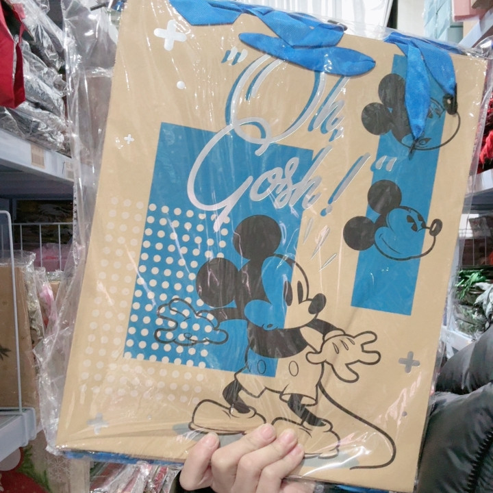 孤品礼品袋外贸礼品袋A4 加厚12个