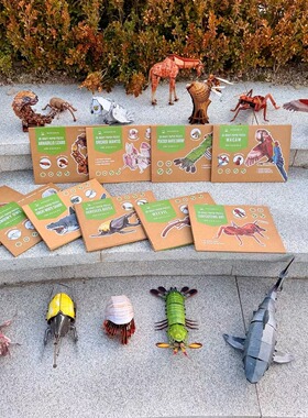 外网29.99美刀的立体拼图 儿童益智类手工玩具一盒12-1