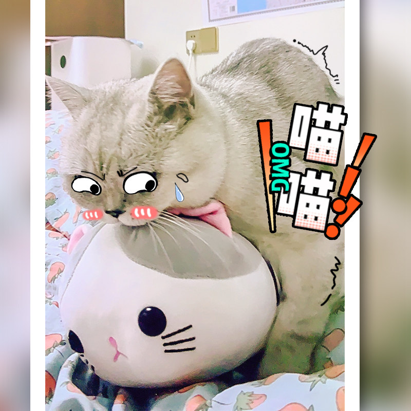 公猫交配玩具泻火自慰假母猫发情期用品发泄伴侣仿真小母猫玩偶