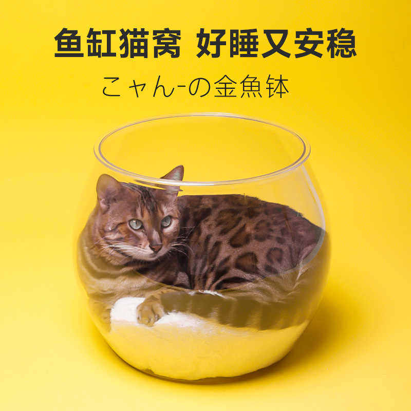 网红猫窝四季通用太空舱猫咪亚克力透明窝冬天猫垫子宠物猫床用品图片