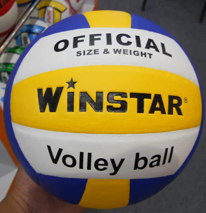 Ballon de volley-ball WINSTAR - Ref 2016119 Image 5