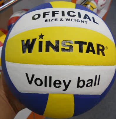 Ballon de volley-ball WINSTAR - Ref 2016119 Image 4