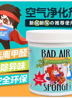 美国除甲醛Bad Air Sponge空气净化剂汽车室内装修污染孕婴适用