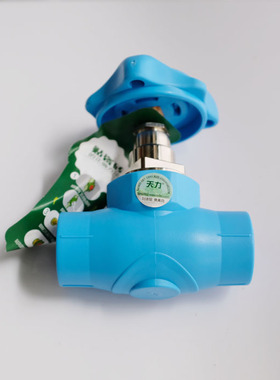 天力瑞家蓝色家装PPR冷热水管材配件DN25热熔闸阀 暗阀 大流量