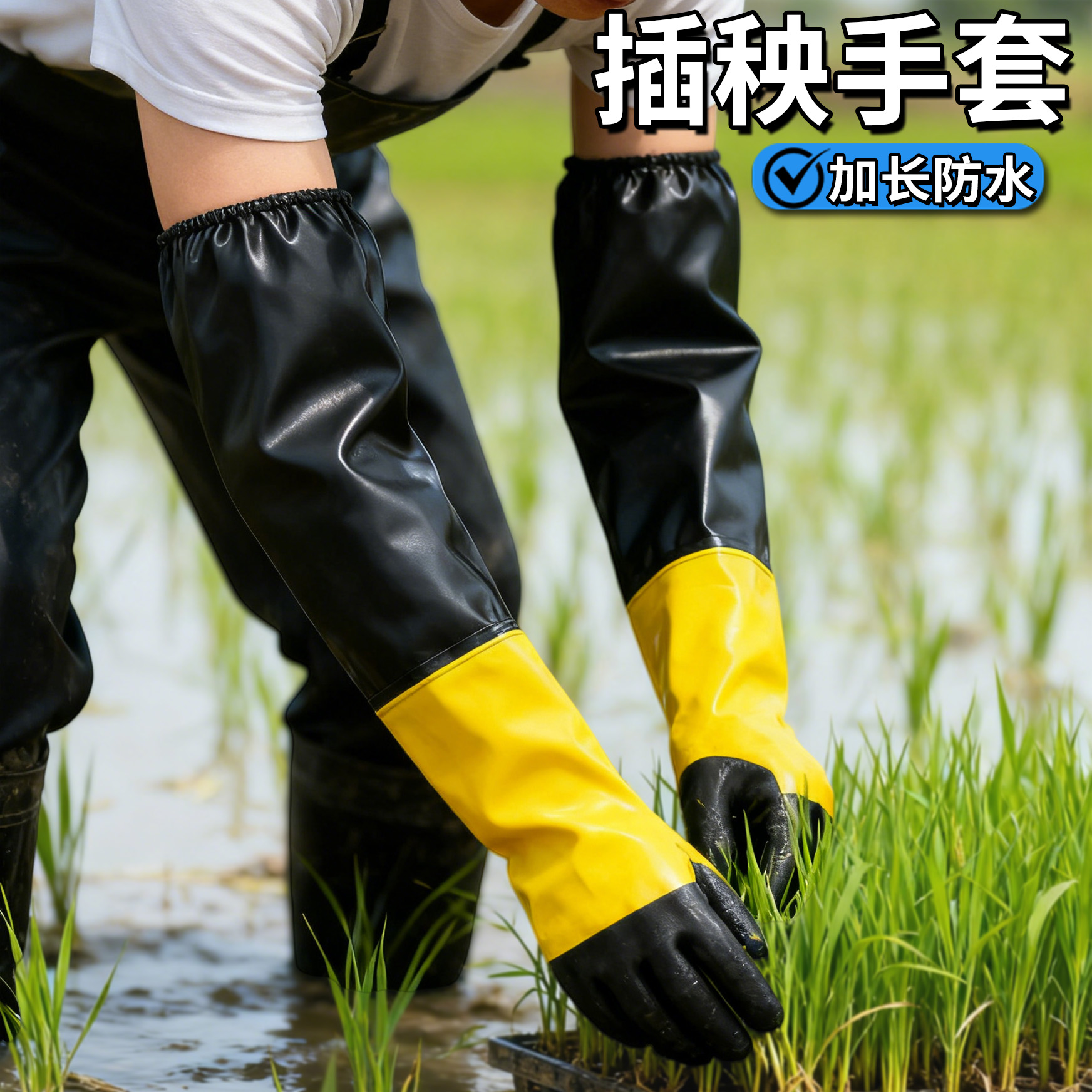 插秧手套专用防水加厚加长耐用